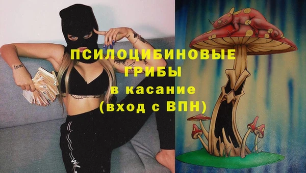 ПСИЛОЦИБИНОВЫЕ ГРИБЫ Аркадак
