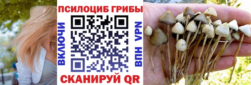 Галлюциногенные грибы MAGIC MUSHROOMS  Можга 
