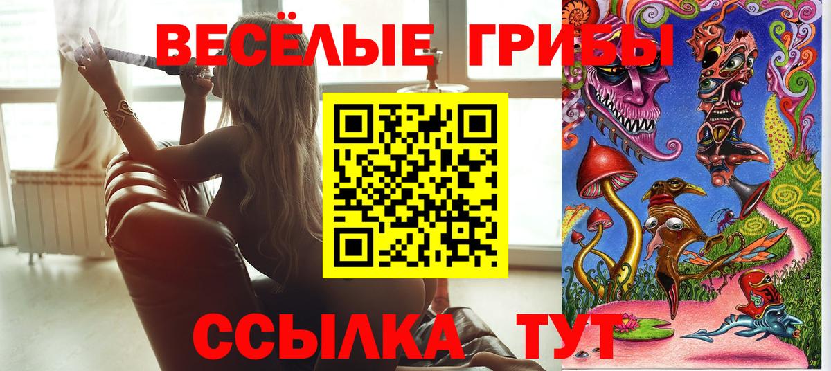 Псилоцибиновые грибы MAGIC MUSHROOMS  Вход с VPN  Можга 